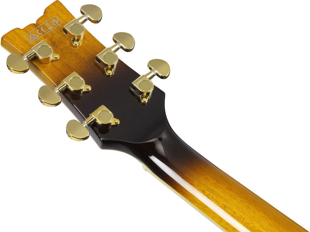 JSM10em Signature John Scofield Two-TONE Burst