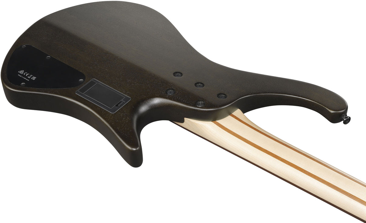 EHB6L Bass Workshop LTD Edition LH Walnut Flat