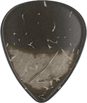 Dugain GUITAR  COCKLE COCONUT