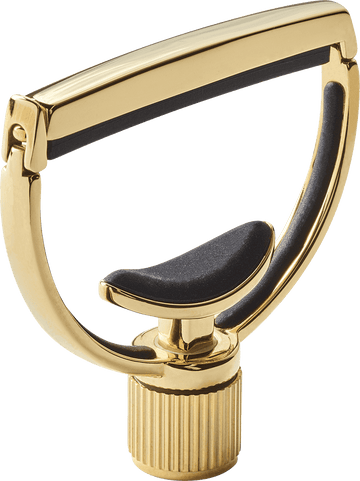 Heritage Guitar Style 1 Standard Gold