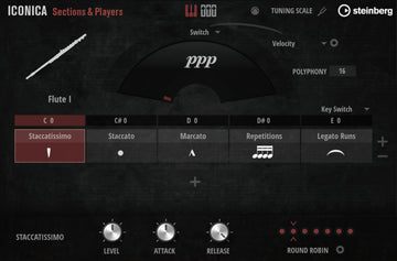 Iconica Sections & Players