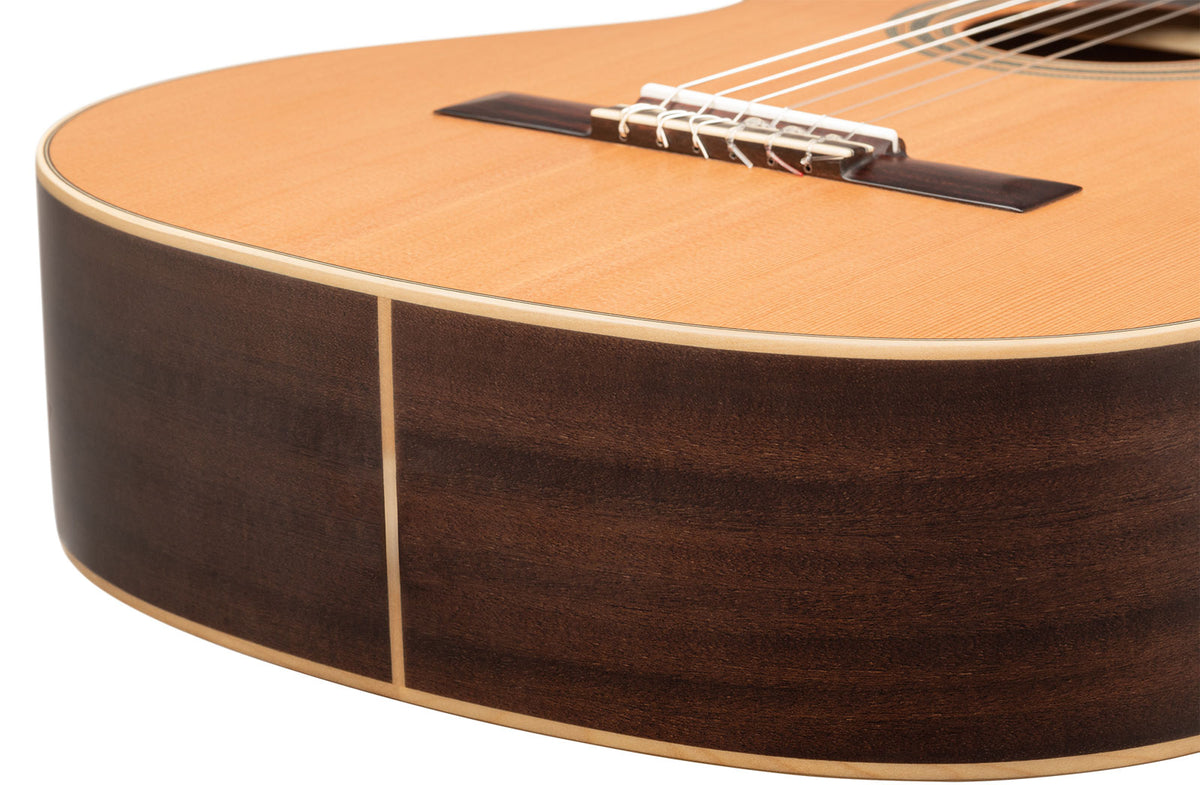 Traditional 4/4 + Pro Gig Bag