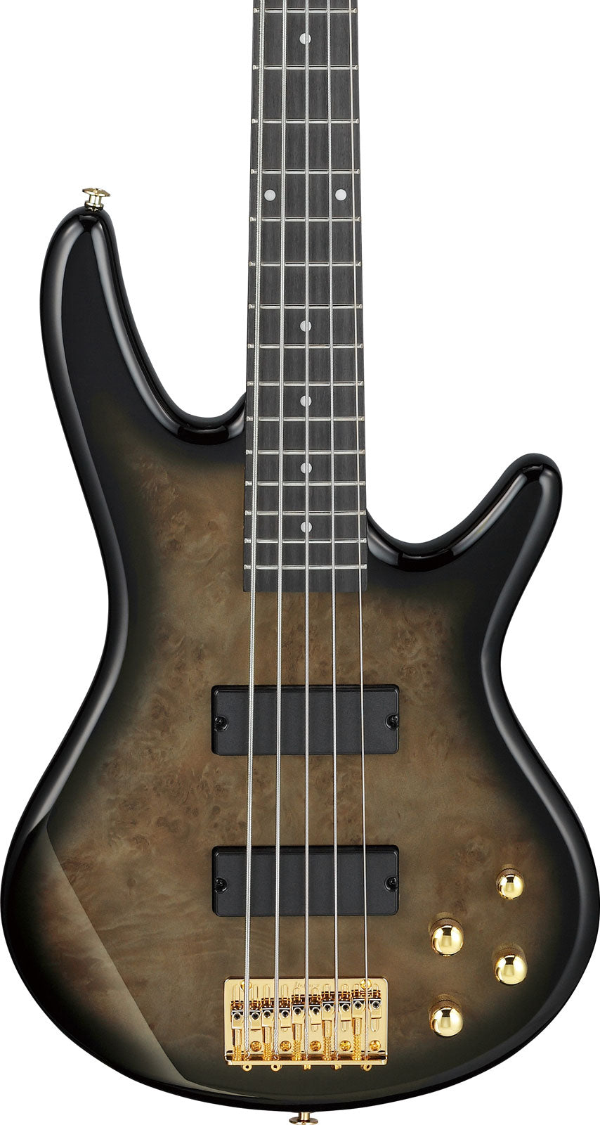 GSR205PCTPB Transparent Pale Black Burst