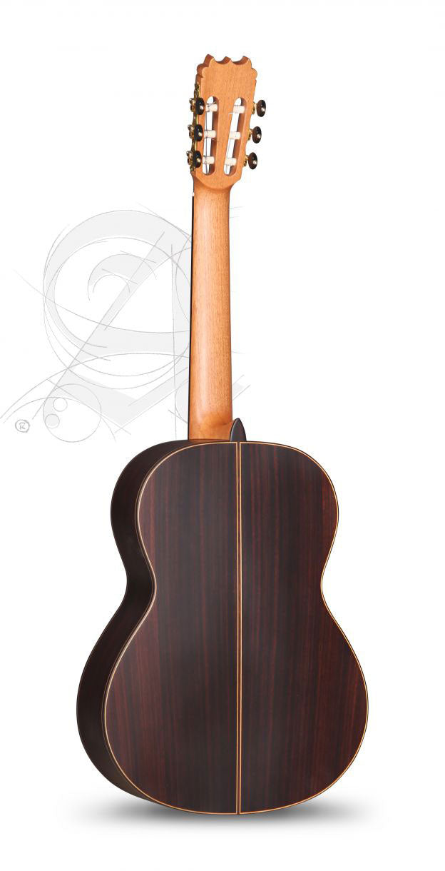 Concert 10Fp Piñana Flamenco + 9557 Case