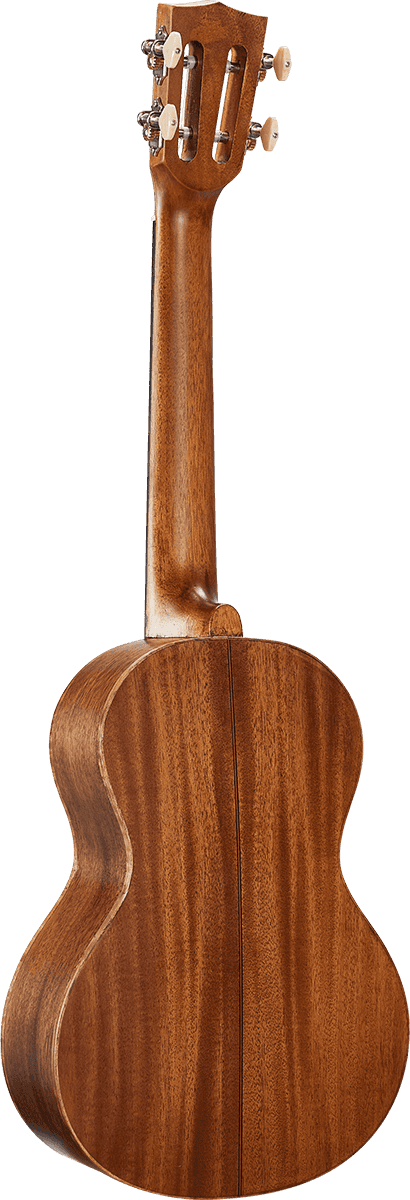 Natural Electro Tenor + Gig Bag