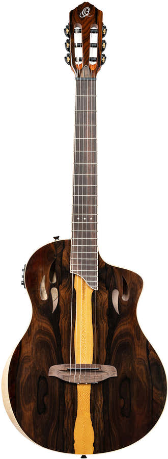 TourPlayer 4/4 + Pro Gig Bag