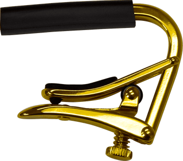 Gold Banjo