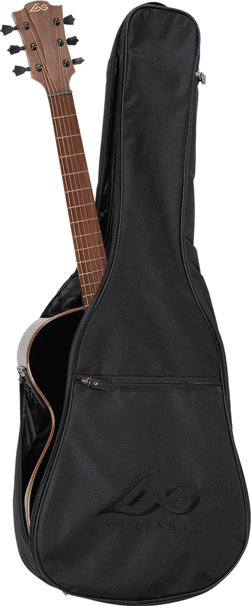 30AS Auditorium Slim Gig Bag