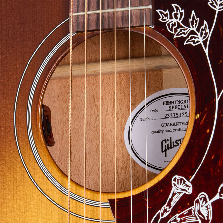 Hummingbird Special Satin Honey Burst Modern