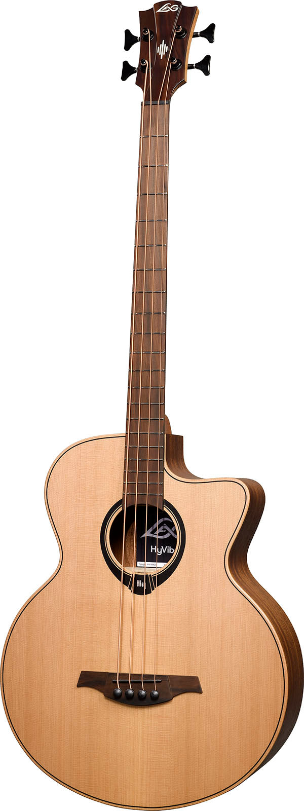 HyVibe 2 Series 10 Acoustic Bass CW