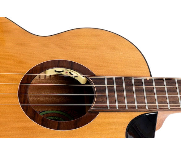 Lily Steel String Baritone EQ-A