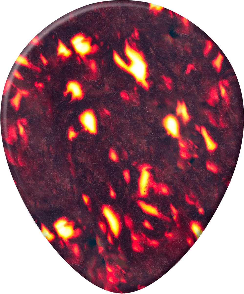 12 x Shell Teardrop Thin