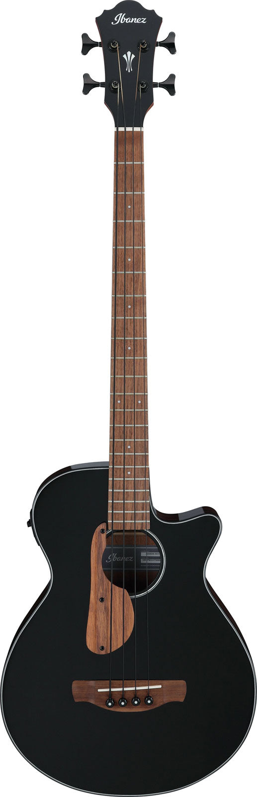 Ibanez Acoustic Basses