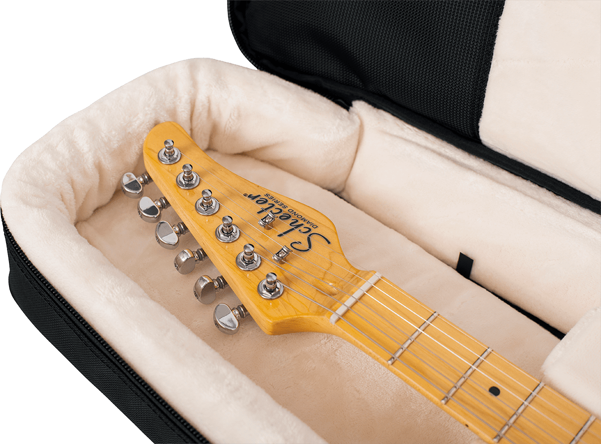 Electric Gigbag - ProGo