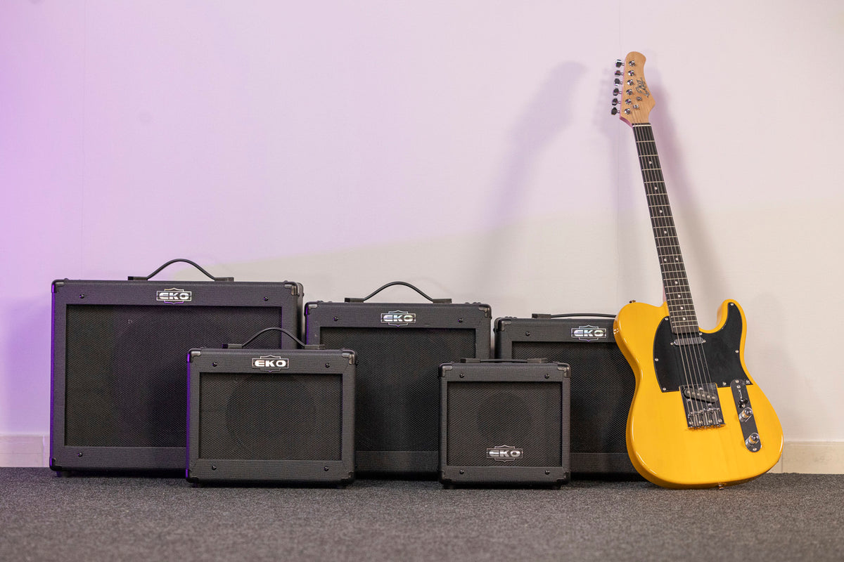 2 channels + FX loop + Reverb - 12" speaker - 50W