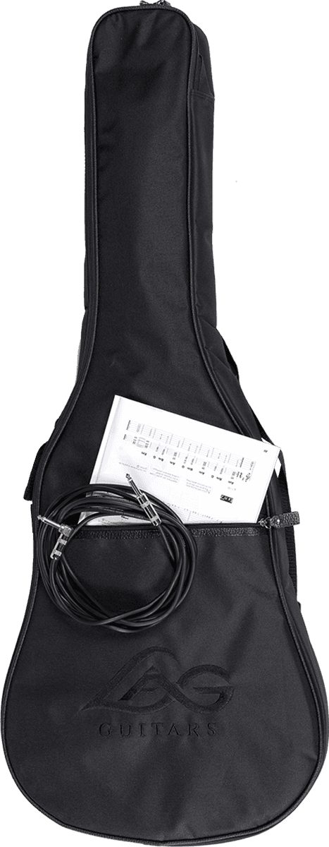 30AS Auditorium Slim Gig Bag