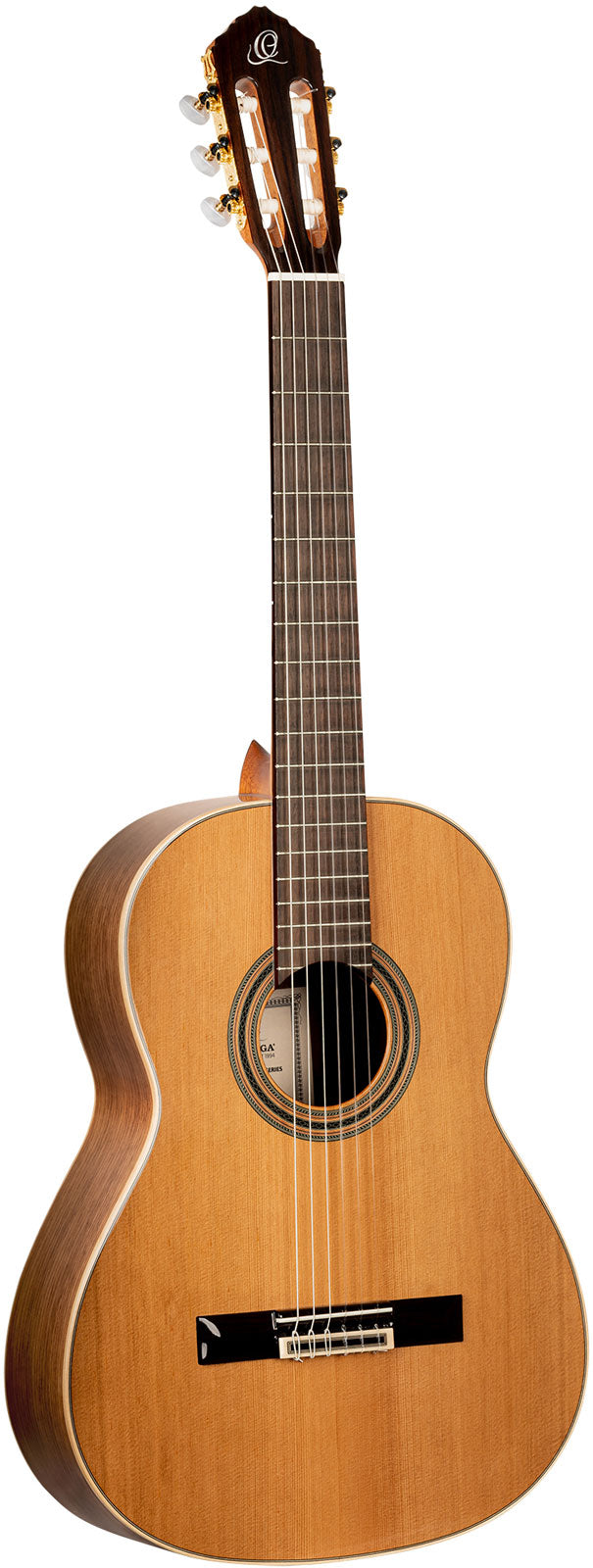 Traditional 4/4 + Pro Gig Bag