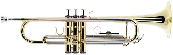 WTP200 - Bb Vernished