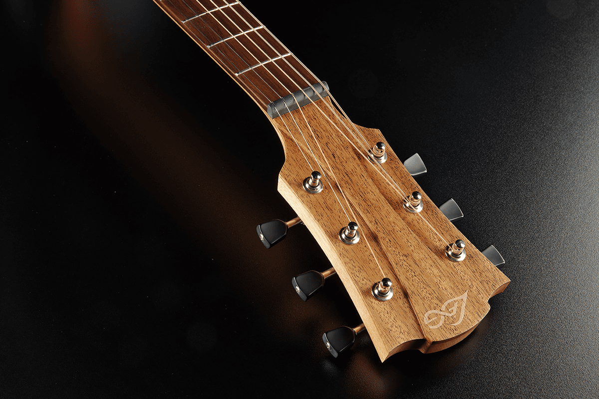 Tramontane T70D-B&B Dreadnought Black & Brown