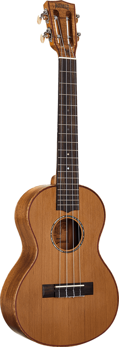 Natural Electro Tenor + Gig Bag