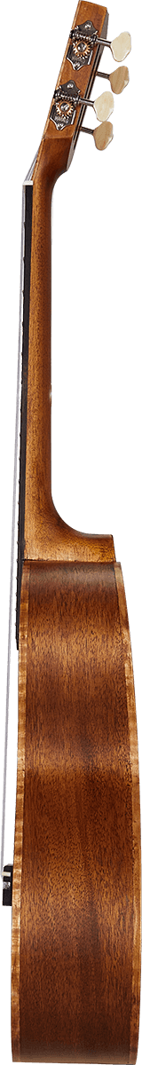 Natural Electro Tenor + Gig Bag