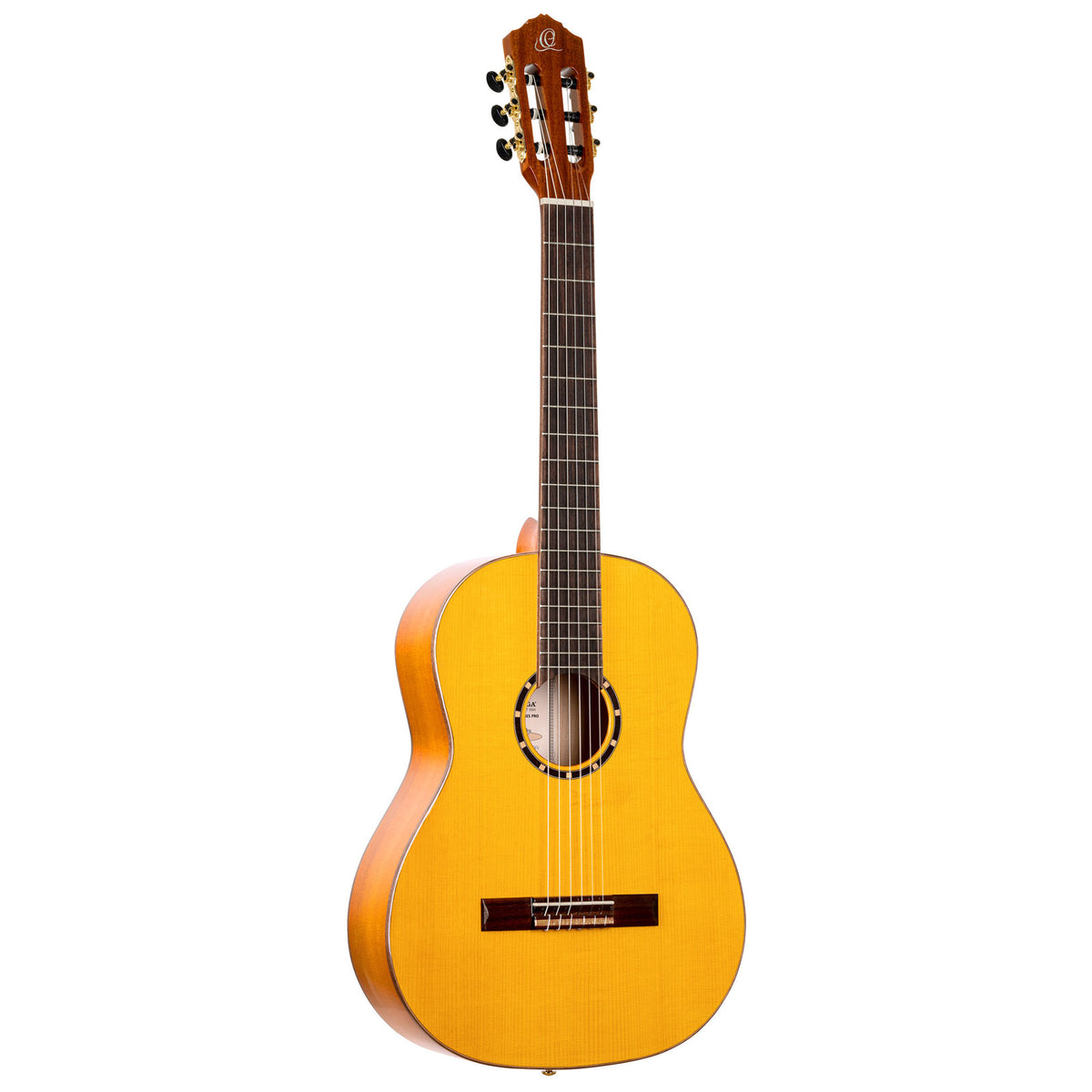 Flamenco Guitar R170F