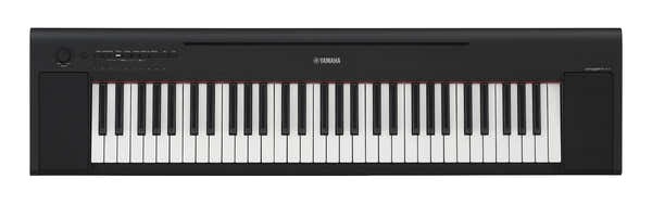 NP-15 Black