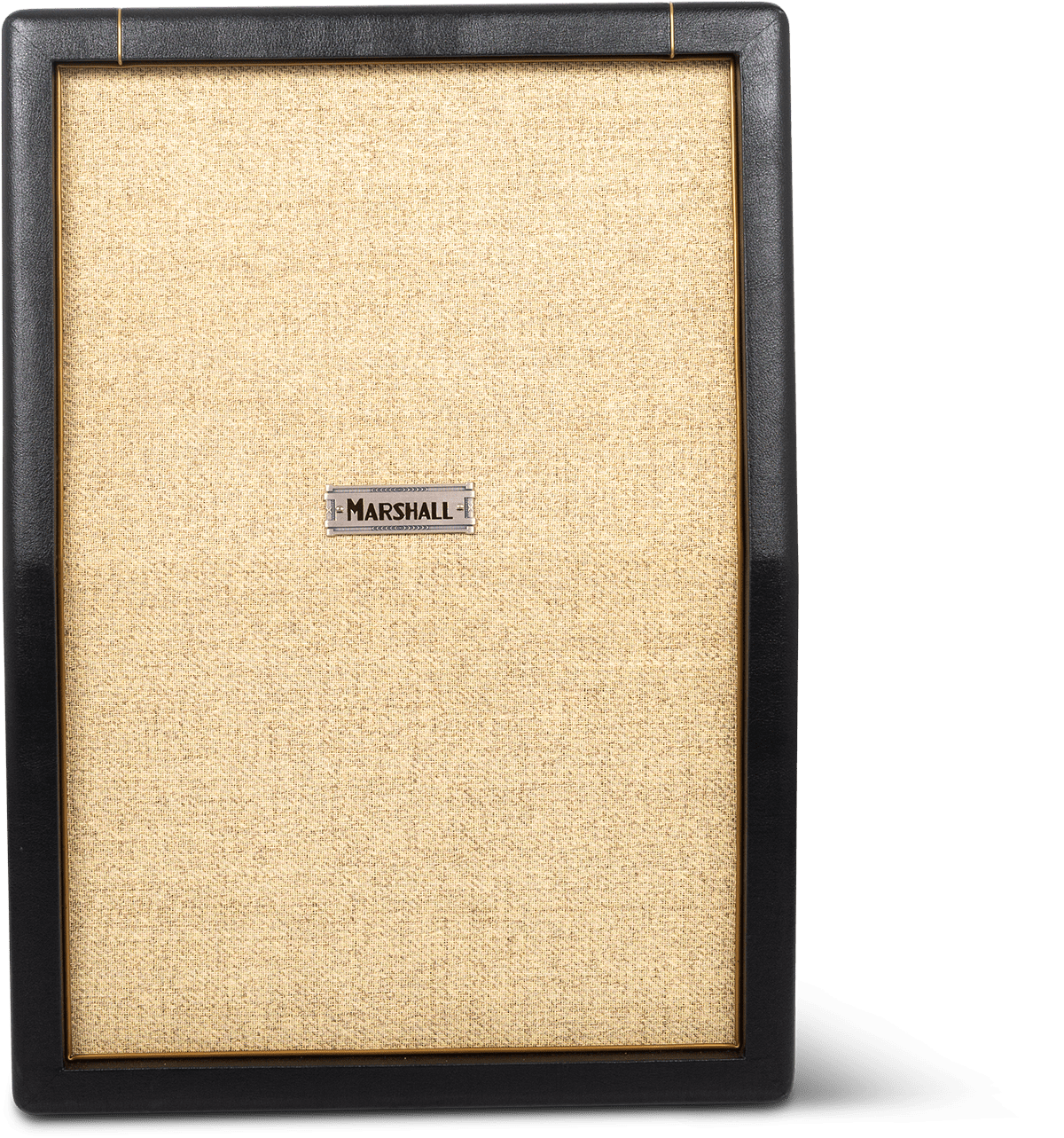 2X12'' 130W STUDIO JTM CAB