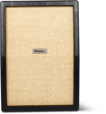 2X12'' 130W STUDIO JTM CAB