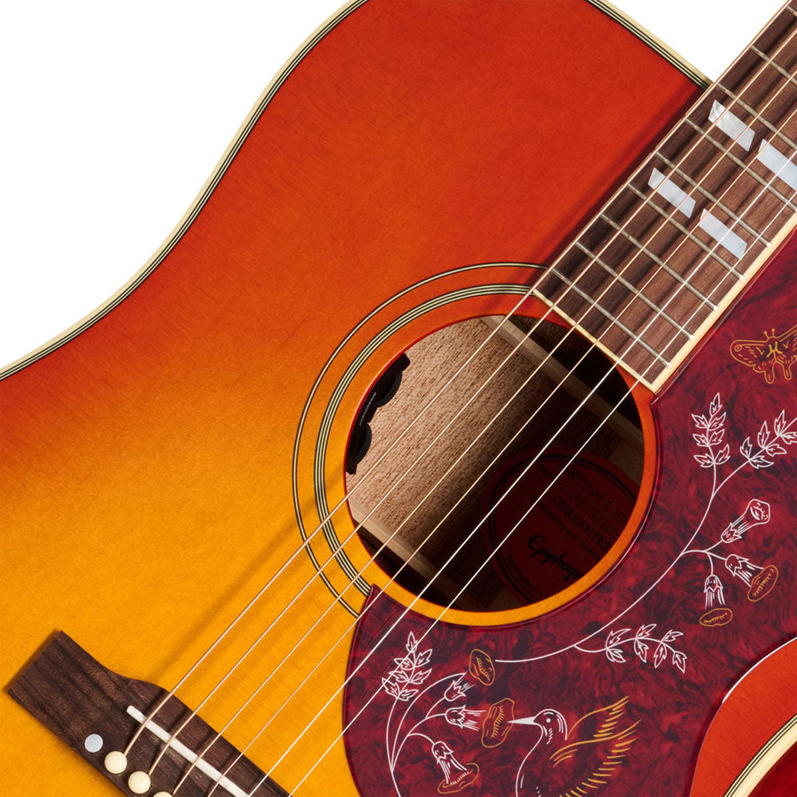 Hummingbird Standard Cherry Sunburst IBG - Refurbished