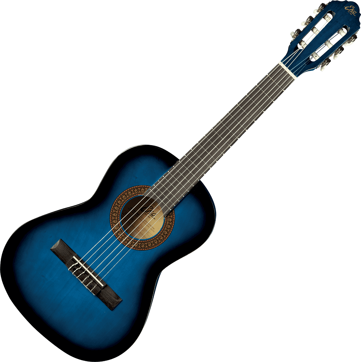 CS-2 1/2 Blue Burst + Gig Bag