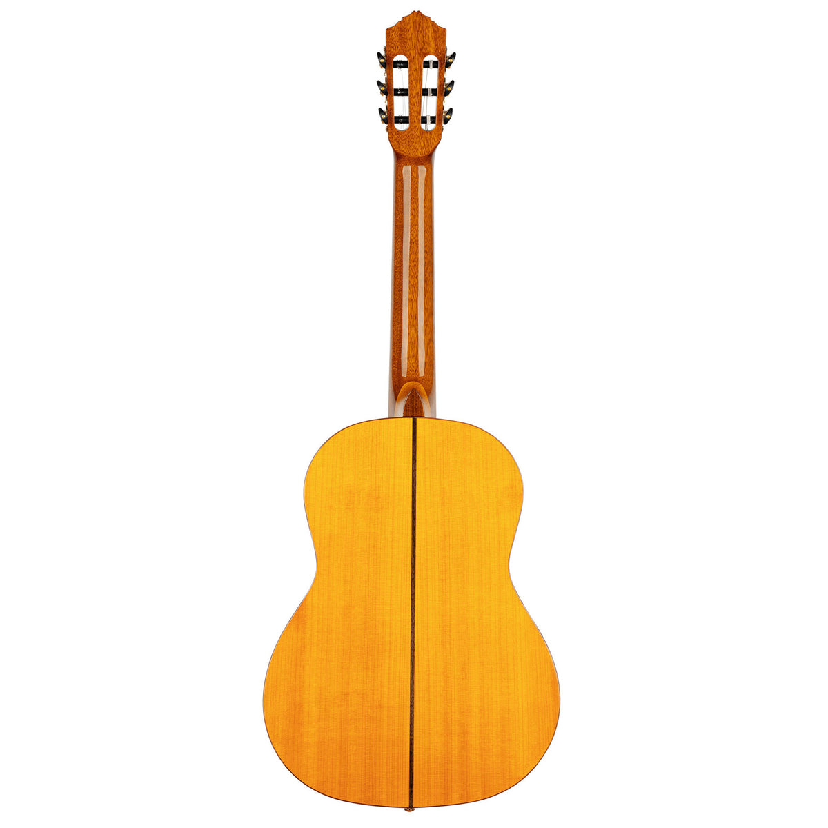 Flamenco Guitar R170F