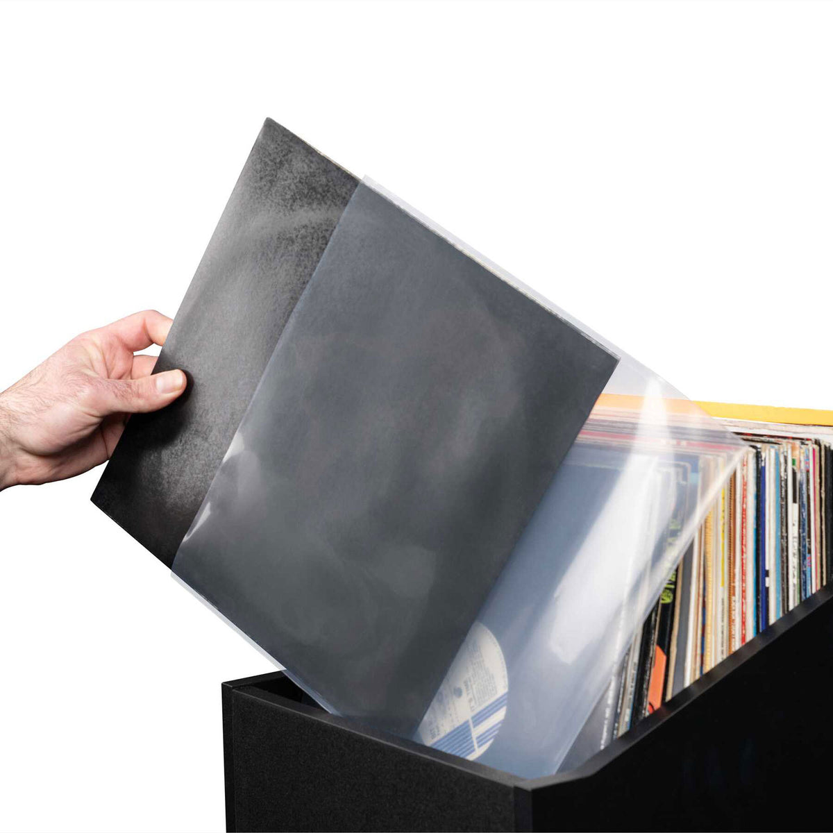 Premium 12 Vinyl LP
