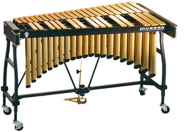 M55GWT PRO-vibe Gold