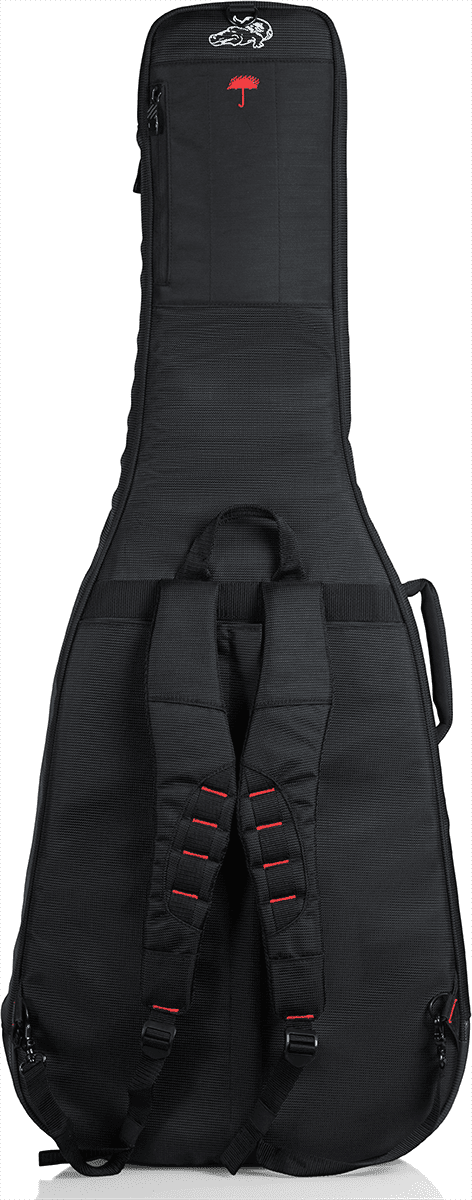 Electric + Folk Double Gigbag - ProGo