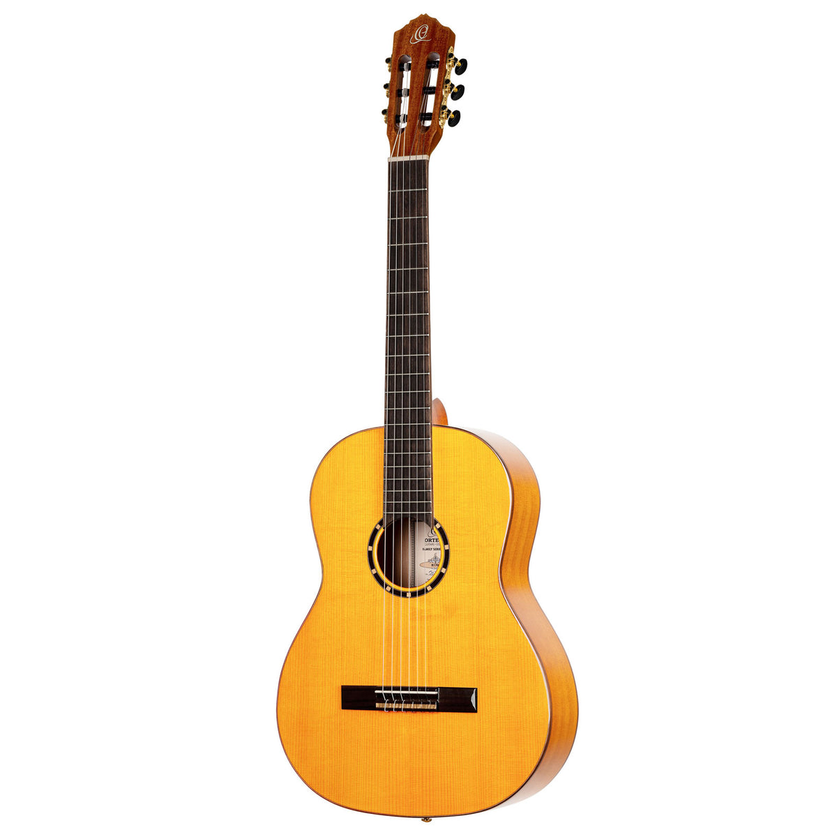 Flamenco Guitar R170F