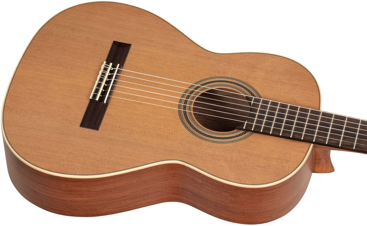 Traditional 4/4 + Pro Gig Bag