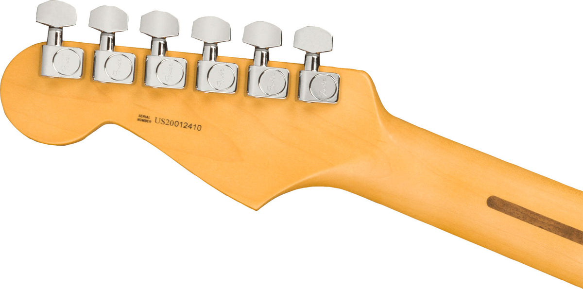 Stratocaster American Professional II MN Dark Night