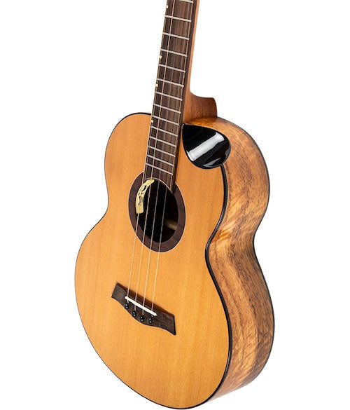 Lily Steel String Baritone EQ-A