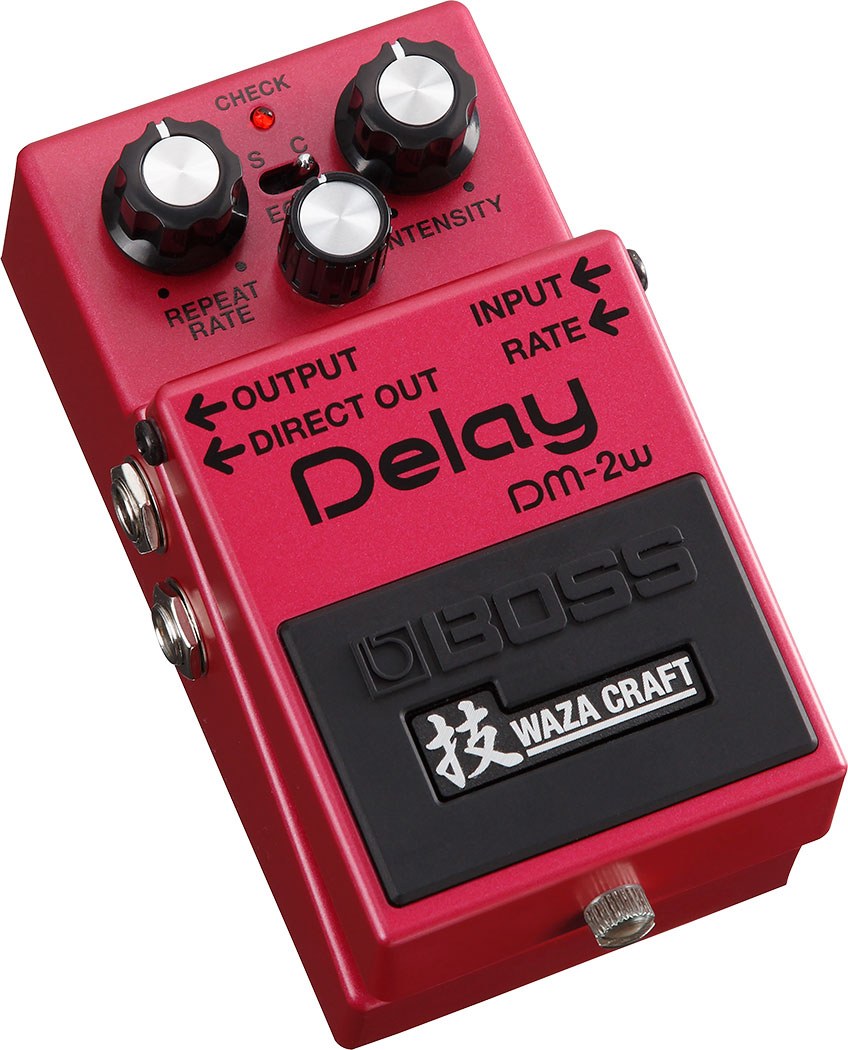 DM-2W