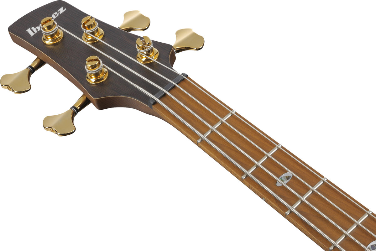 SR4500-DST Desert Sunset Burst Prestige