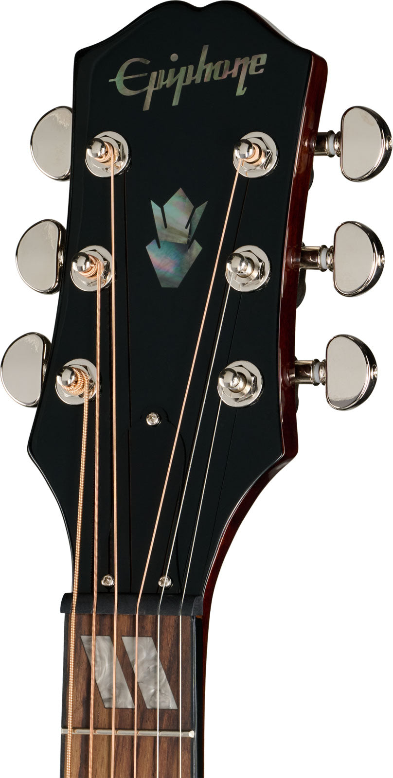 Hummingbird Signature Eric Church Dark Cobra Burst IBG