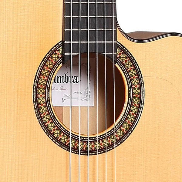 Conservatory 7Fc Cw E8 Flamenco + 9738 25mm Gigbag