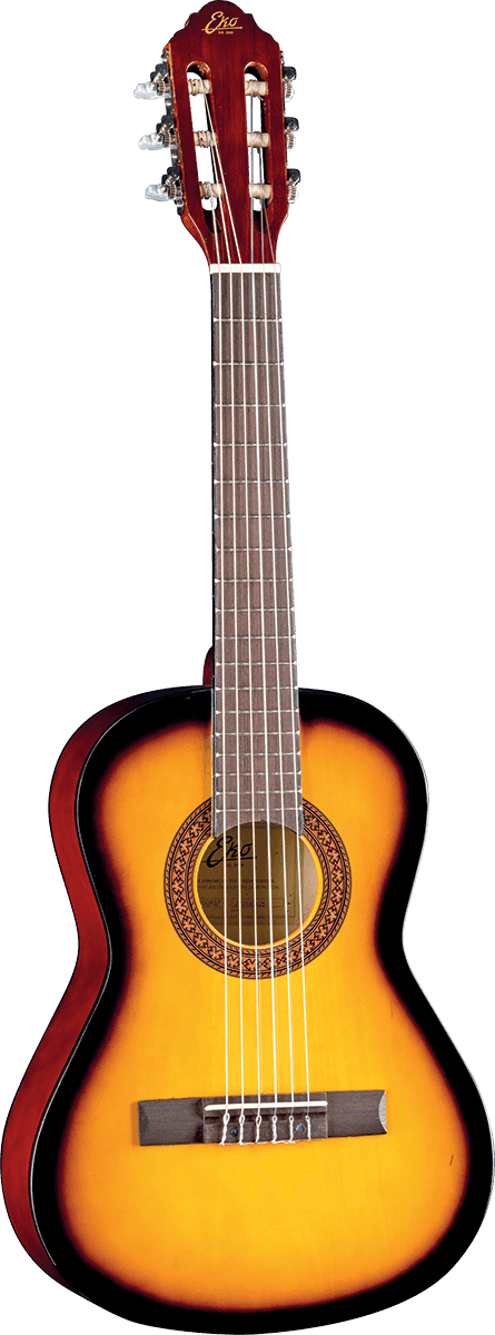CS-2 1/2 Sunburst + Gig Bag