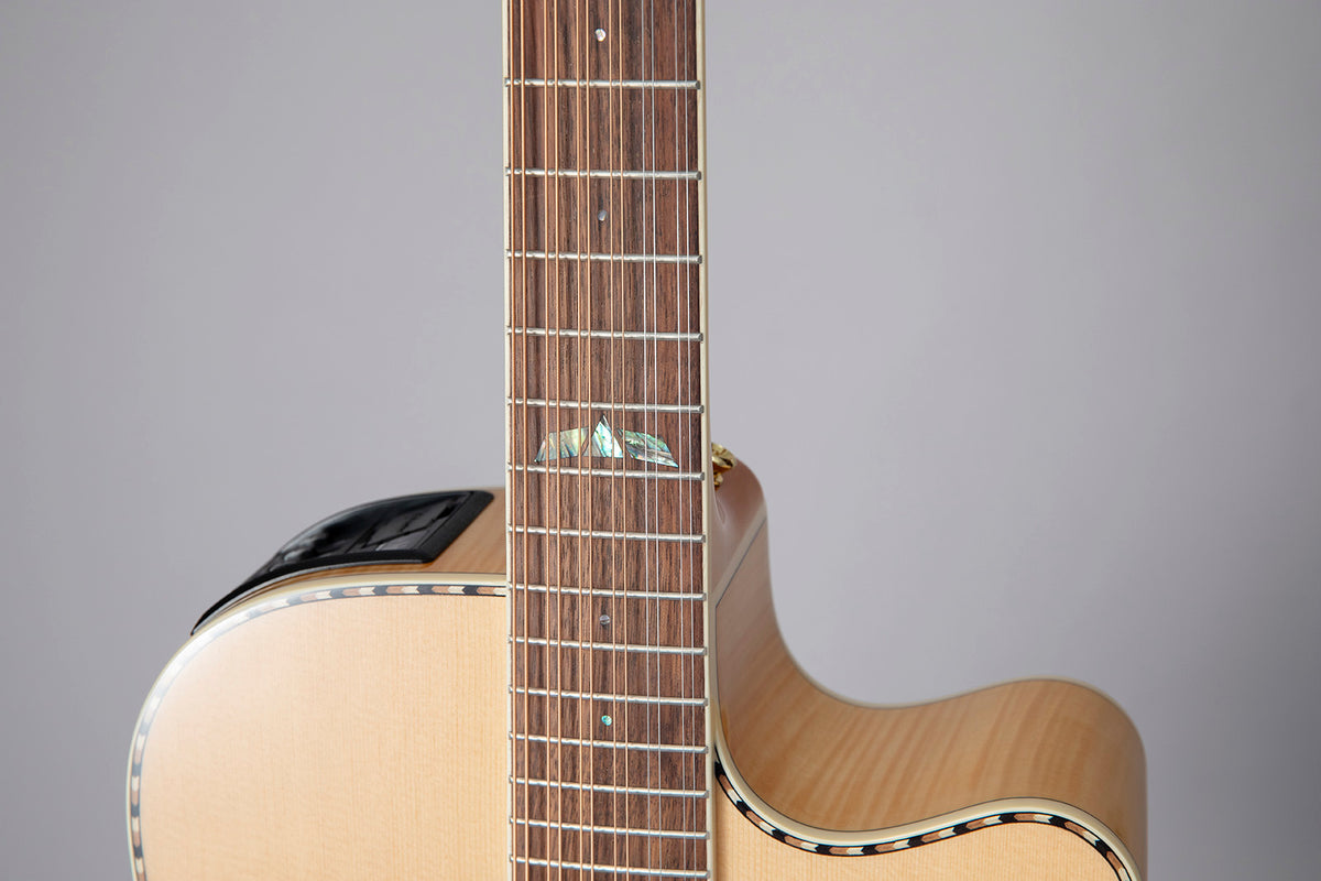 GD74CE-12 Dreadnought Strings Natural