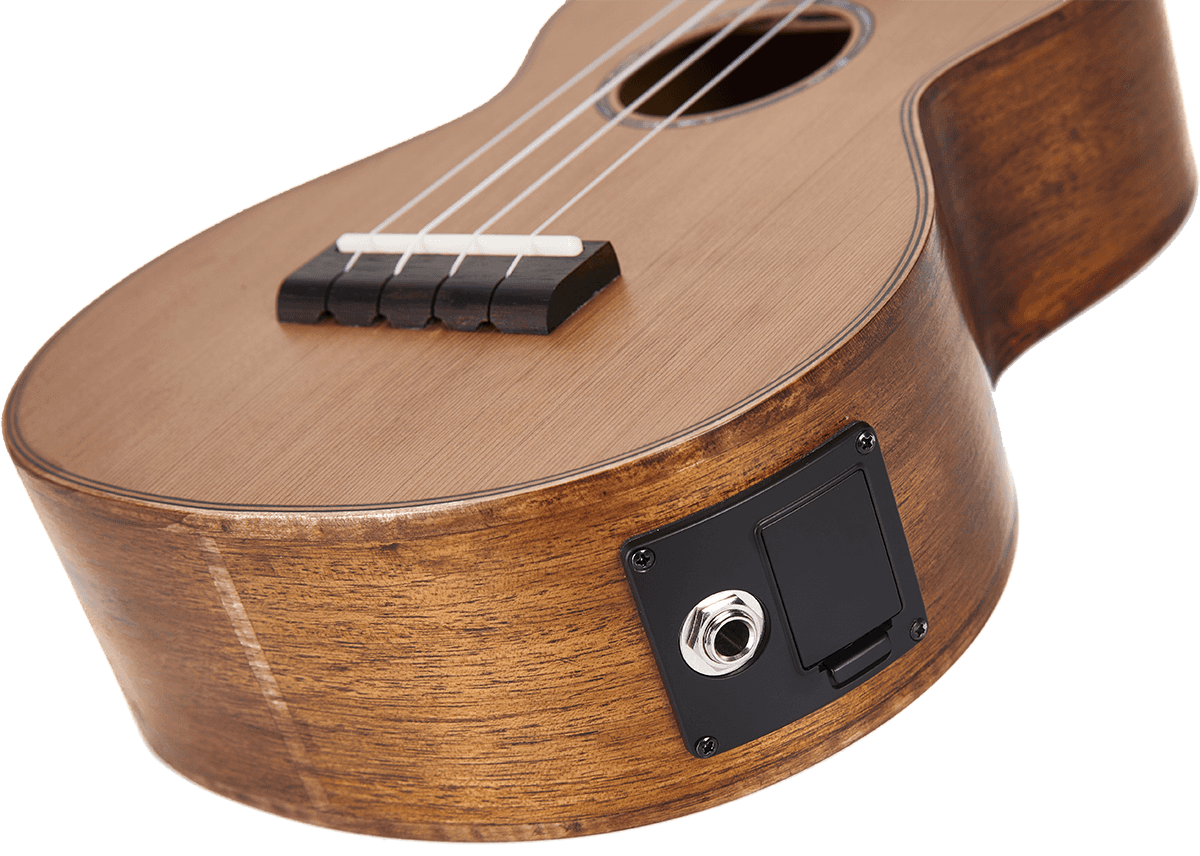 Concert Natural Electro + Gig Bag