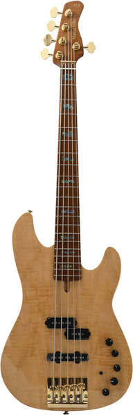 P10 Dx Alder-5 Nt Mn + Case