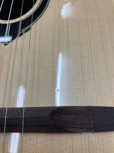 SwingLâg 200 Small Soundhole Spruce And Rosewood With Gigbag - B Stock