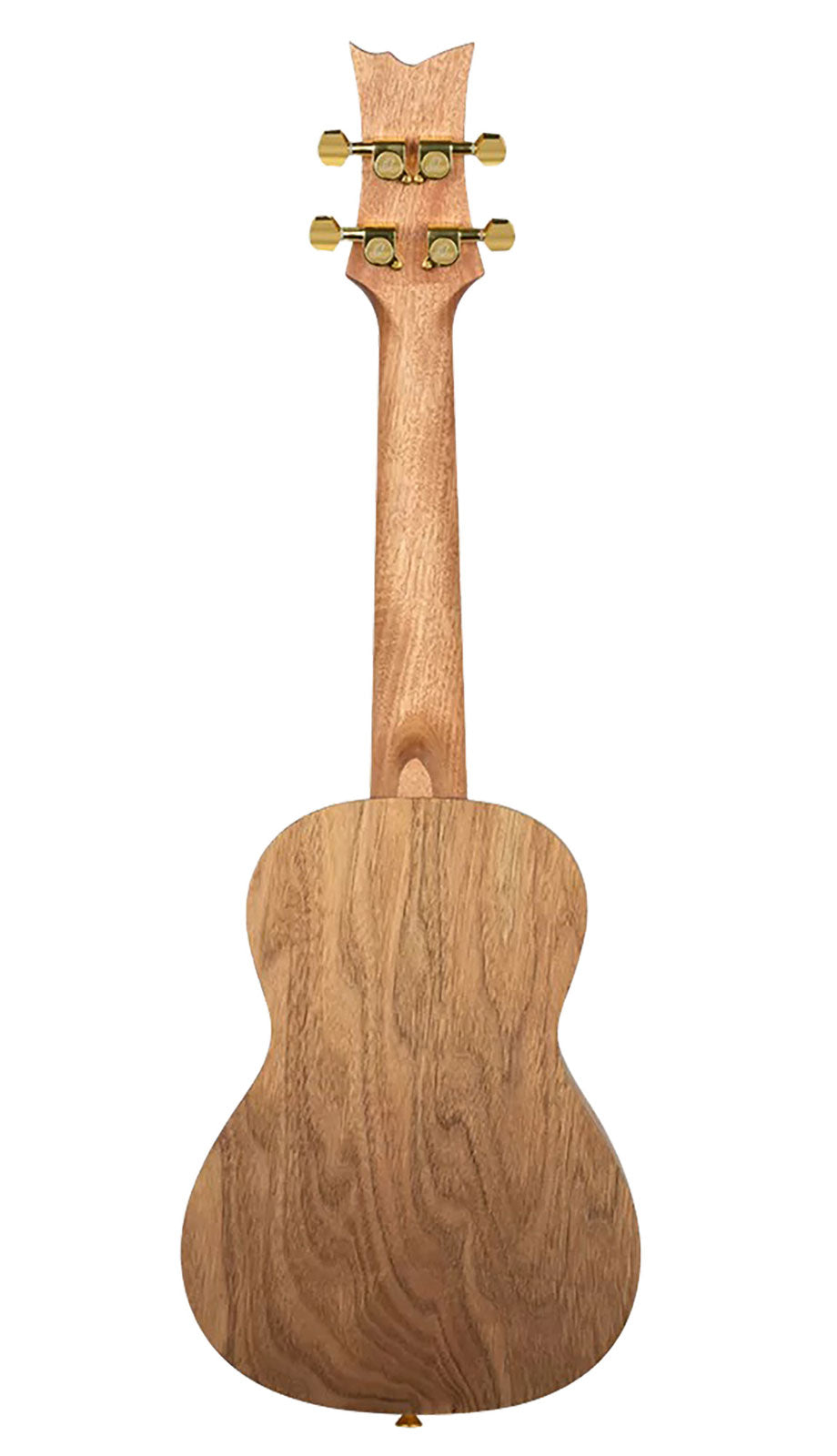 Ukulele Concert Series Art Birds