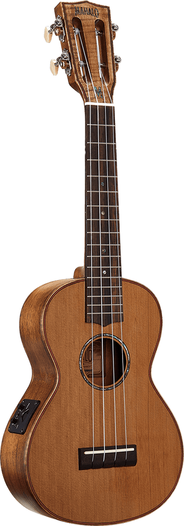 Concert Natural Electro + Gig Bag